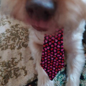Valentines Neck Tie for Large and Small Dogs Featuring Pink and Red Hearts image 10