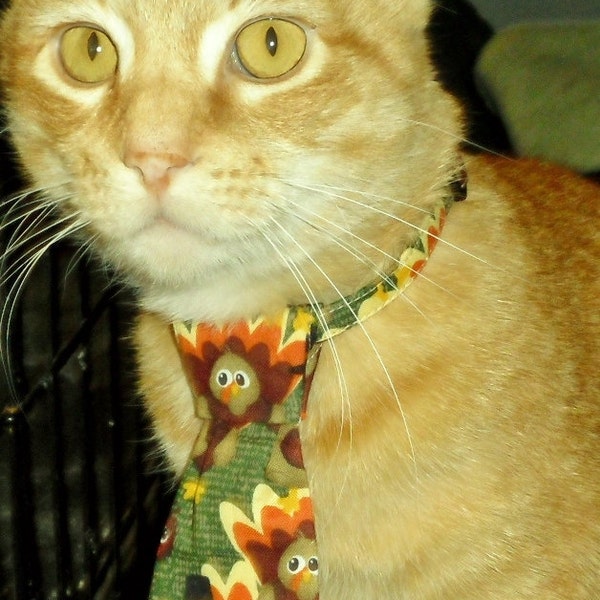 Corbata de pavo de Acción de Gracias lista para enviar para gatos o perros pequeños