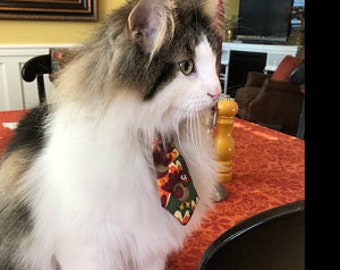 Ready To Ship Thanksgiving Turkey Neck Tie For Cats or Small Dog