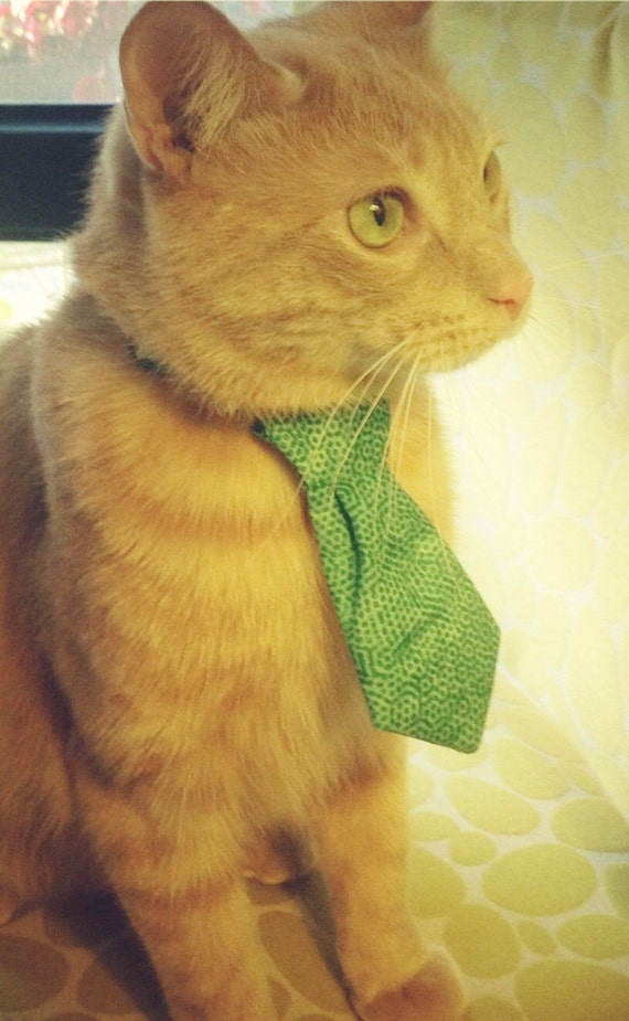 Items similar to Cat Necktie on Breakaway Collar Retro ...