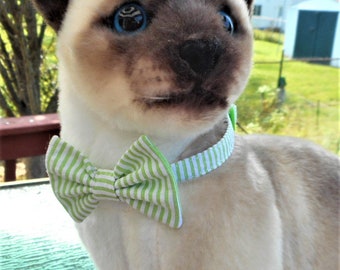 Bright Green Seersucker Bow Tie For Cats, Kittens and Tiny Dogs