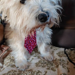 Valentines Neck Tie for Large and Small Dogs Featuring Pink and Red Hearts image 2