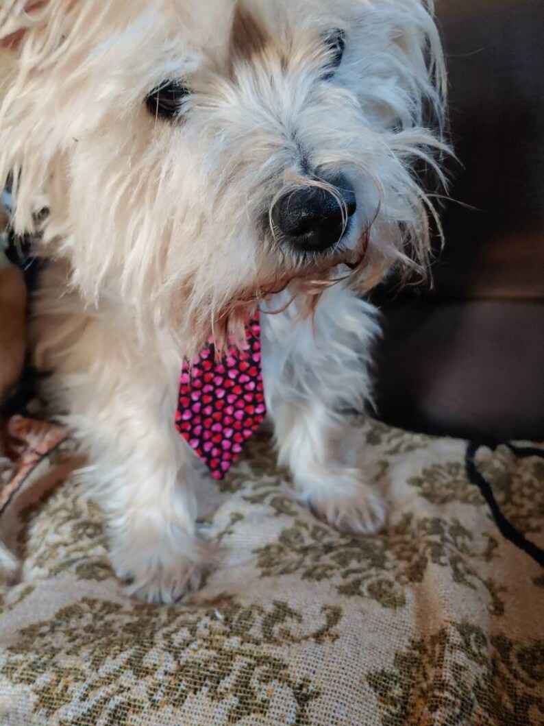 Valentines Neck Tie for Large and Small Dogs Featuring Pink and Red Hearts image 2