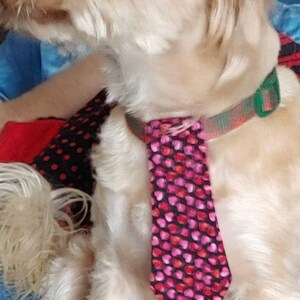 Valentines Neck Tie for Large and Small Dogs Featuring Pink and Red Hearts image 7