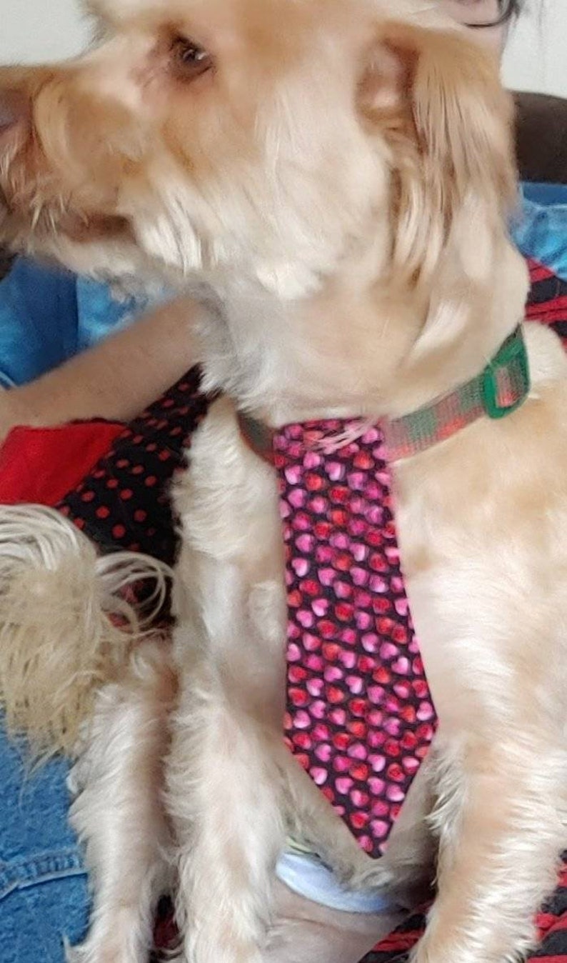 Valentines Neck Tie for Large and Small Dogs Featuring Pink and Red Hearts image 7