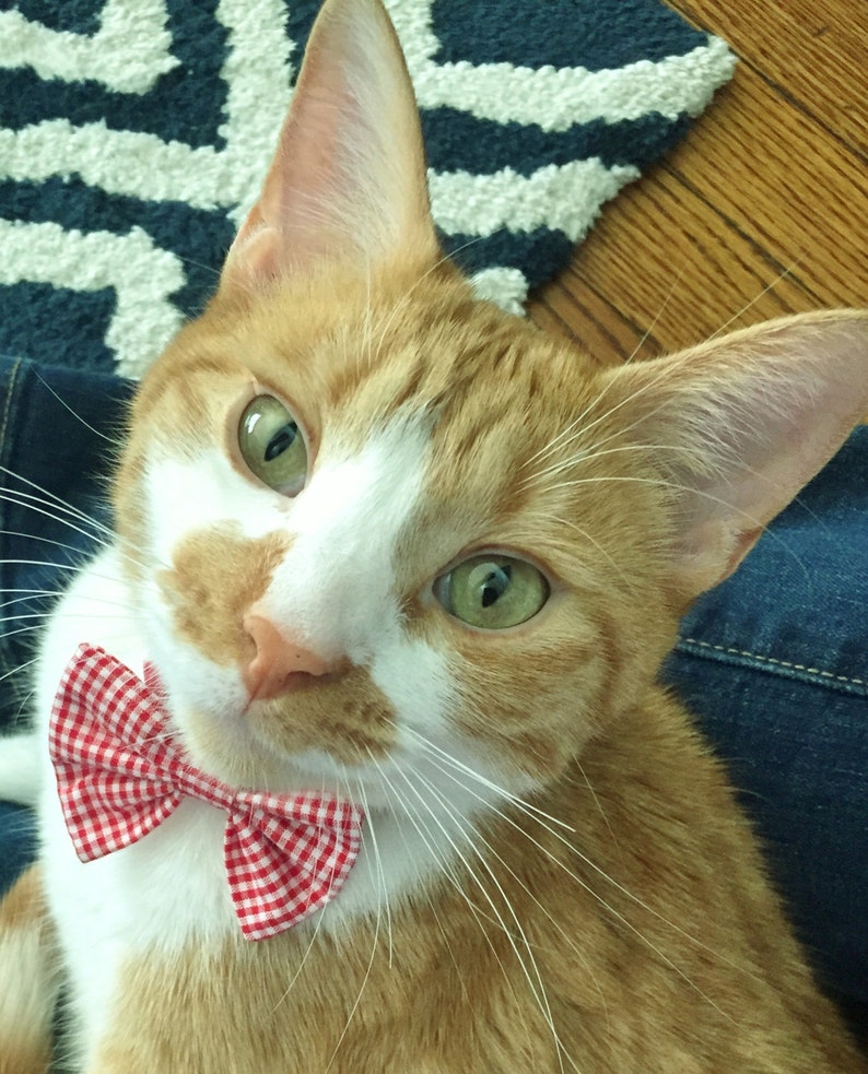 Red and White Gingham Check Break Away Bowtie Collar for Cats image 1
