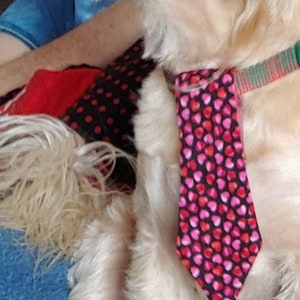Valentines Neck Tie for Large and Small Dogs Featuring Pink and Red Hearts image 8