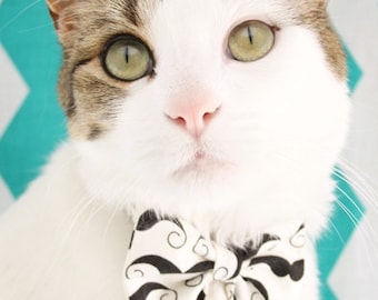 Moustache Bow Tie Collar For Cats Or Small Dogs