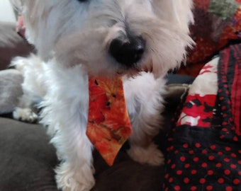 Autumn Necktie for Small And Large Dogs