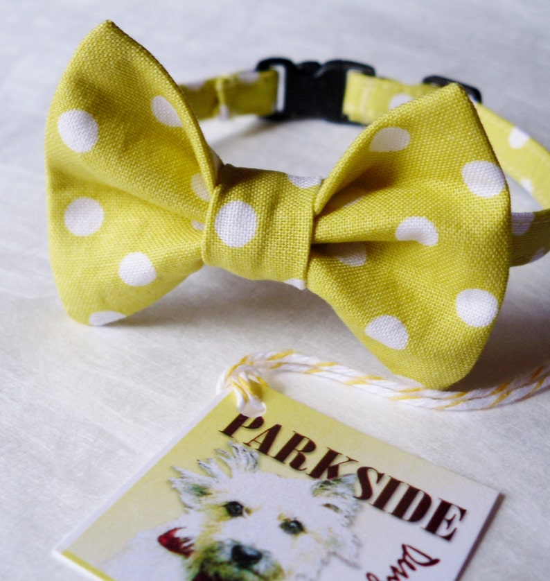 Yellow and White Polka Dot Bow Tie Collar For Cats and Small Dogs image 4