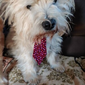 Valentines Neck Tie for Large and Small Dogs Featuring Pink and Red Hearts image 3