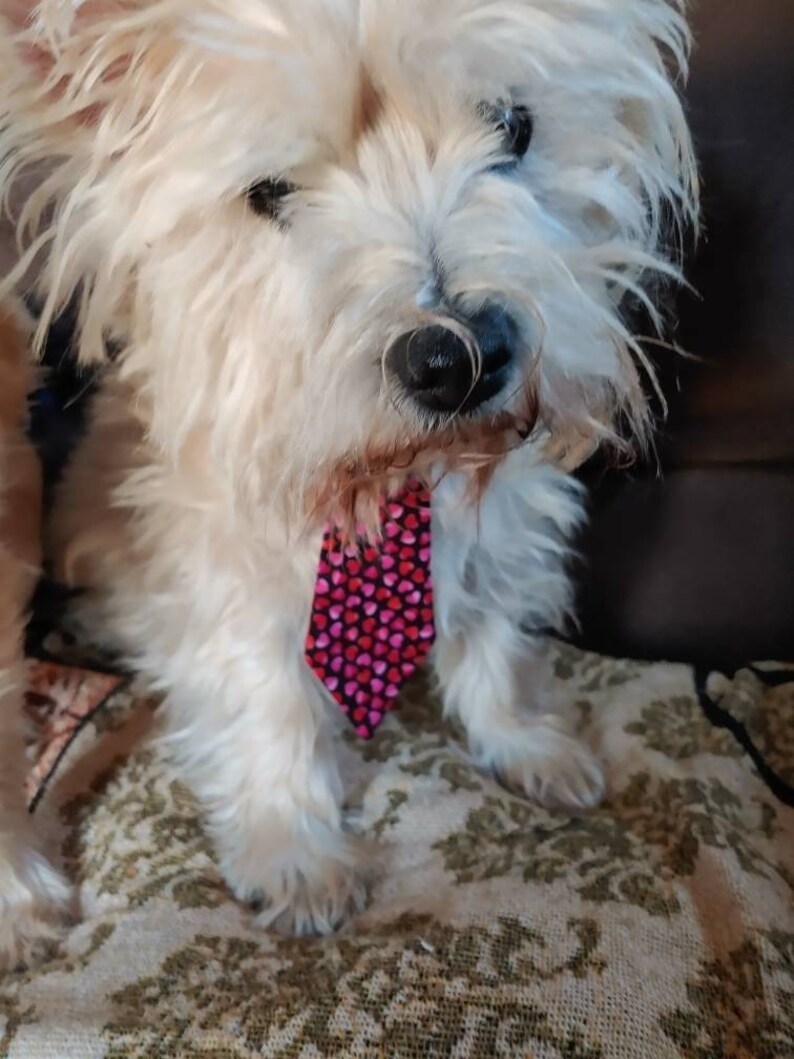 Valentines Neck Tie for Large and Small Dogs Featuring Pink and Red Hearts image 3