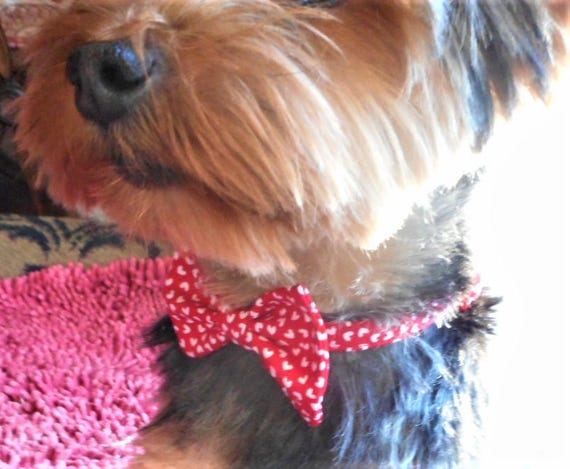 Valentines Day Tiny Hearts Dog Bow Tie