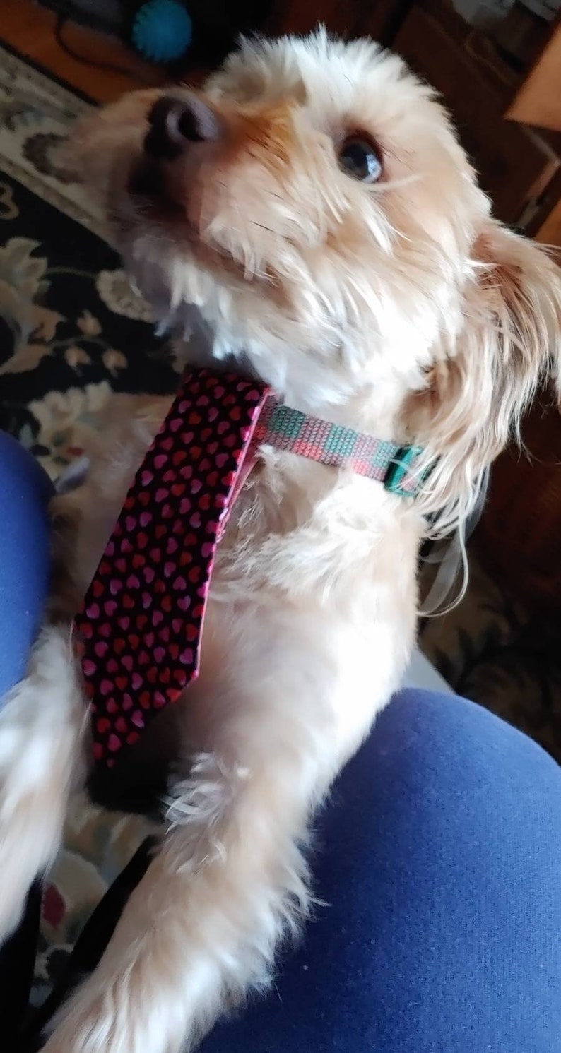 Valentines Neck Tie for Large and Small Dogs Featuring Pink and Red Hearts image 6