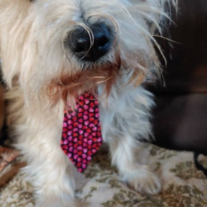Valentines Neck Tie for Large and Small Dogs Featuring Pink and Red Hearts Small 6 inches