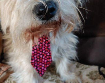 Valentines Neck Tie for Large and Small Dogs Featuring Pink and Red Hearts
