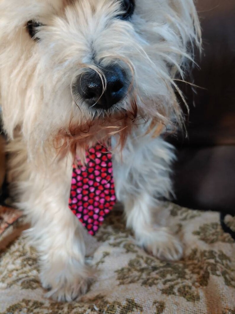 Valentines Neck Tie for Large and Small Dogs Featuring Pink and Red Hearts Small 6 inches