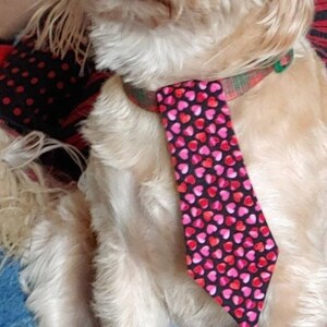 Valentines Neck Tie for Large and Small Dogs Featuring Pink and Red Hearts image 9