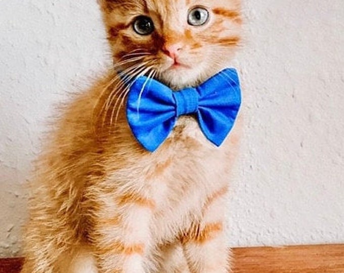 Kitten Bow Tie Collar in Royal Blue Etsy