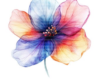 Clipart de flores abstractas de acuarela, PNG/JPG de alta calidad (descarga digital)