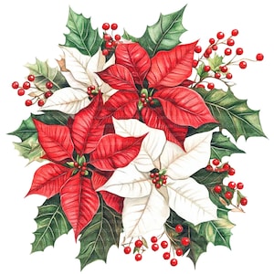 12 Clipart artistiche di Poinsettia, Clipart stampabili ad acquerello, Clipart di Poinsettia, Download digitale, PNG/JPG di alta qualità, Junk Journals