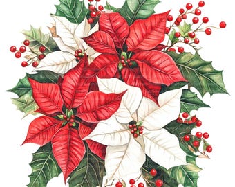 Clipart de flor de Pascua en acuarela: Conjunto de PNG/JPG navideños (descarga digital)