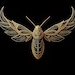Gilded Roach