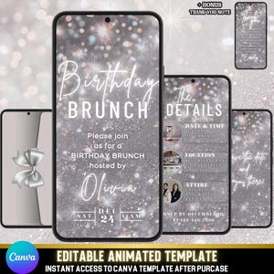 Luxus Animierte Geburtstags Brunch-Einladung | Elegant Silber Glitter Video Evite | Chic Brunch Party einladen für Erwachsene | Digitaler Download
