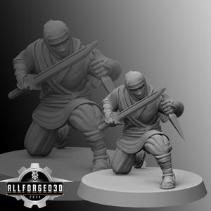 Mizuchi Ninja | Kyoushuneko | Table Top Gaming Mini | RPG | D&D | 3D Printed Miniature