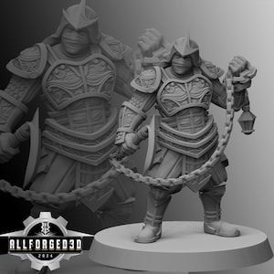 Mizuchi Ninja Hanzo | Kyoushuneko | Table Top Gaming Mini | RPG | D&D | 3D Printed Miniature