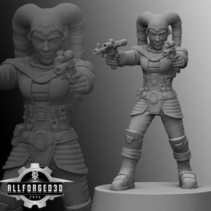 Companion Vette SW Legion RPG 3D Printed Sci-FI Miniature Mini