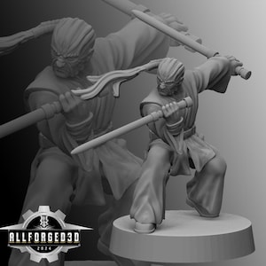 Dark Mystical Warrior SW Legion RPG 3D Printed Sci-FI Miniature Mini