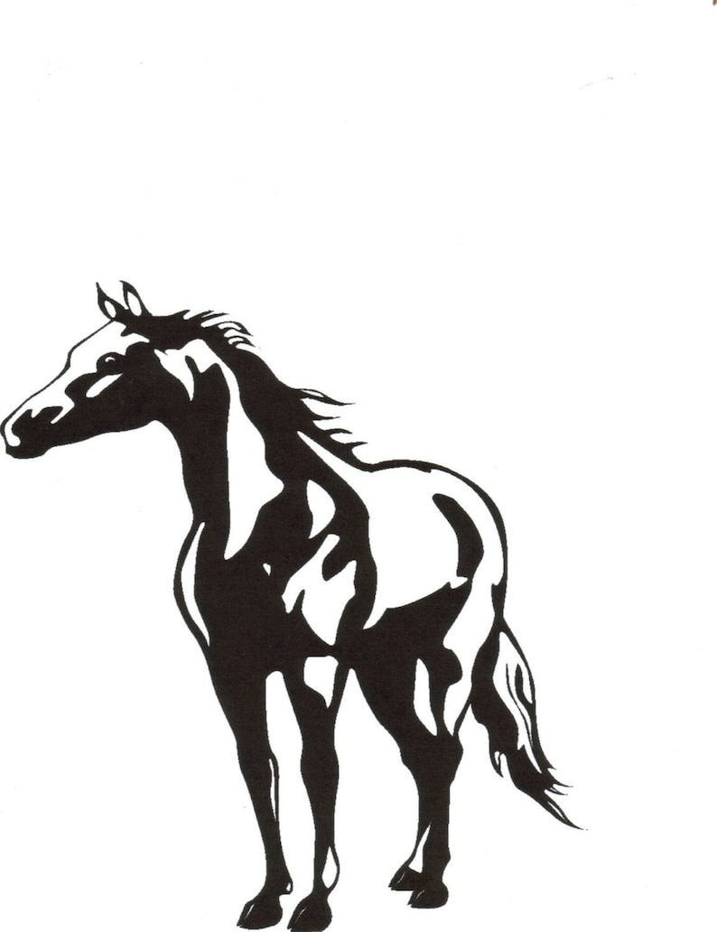Horse wall decal Name sticker Personalized decal Girls Etsy