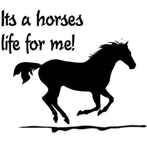 Horse Decalhorse Wall Decalhorse Stickerpony Decalquote Etsy