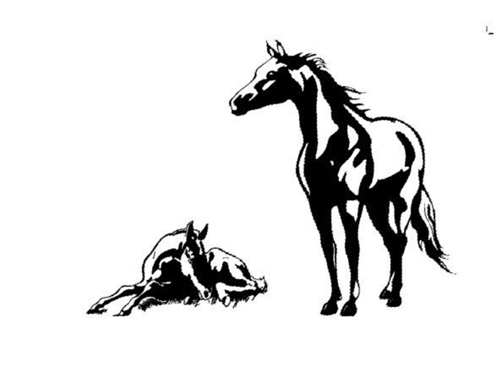 Horse Wall Decal Horse Decal Horse Decor Horse Art Horse Etsy