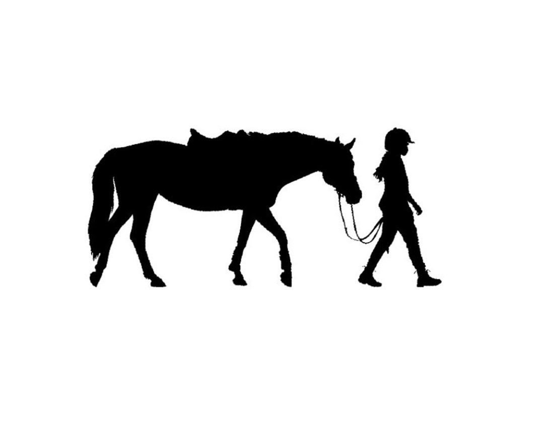 Horse Wall Decal Horse Decal for Girls Room Personalized Horse Girls
