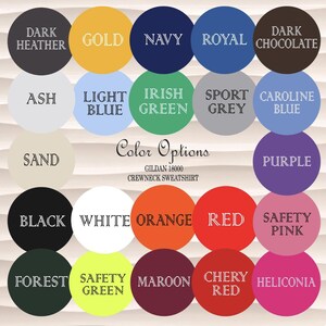 a grid of 24 circular color options, each with a different color name, arranged in a 4x6 grid.