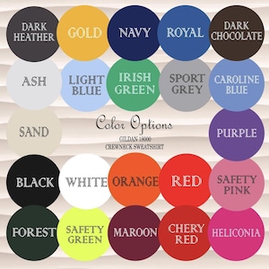 a grid of 24 circular color options, each with a different color name, arranged in a 4x6 grid.