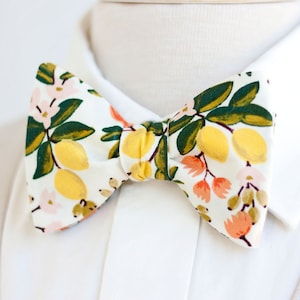 Papillon, Papillon, Papillon, Papillon da uomo, Papillon Freestyle, Papillon da annodare, Rifle Paper Co, Cravatte - Citrus Floral In Cream