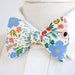 see more listings in the mens freestyle bow ties section