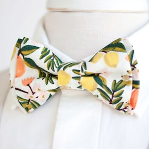 Papillon, papillon da uomo, papillon, papillon, fiocco, papillon, papillon da sposo, papillon floreale, Rifle Paper Co - Citrus Floral In Cream