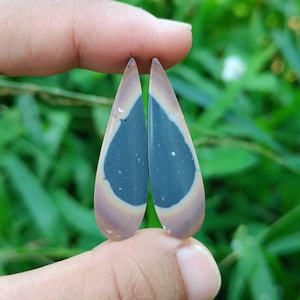 May include: Two teardrop-shaped gemstones are held between fingers. Each stone features a dark blue center, surrounded by a tan and light brown border. The stones have a polished, smooth surface, and are set against a blurred green background.
