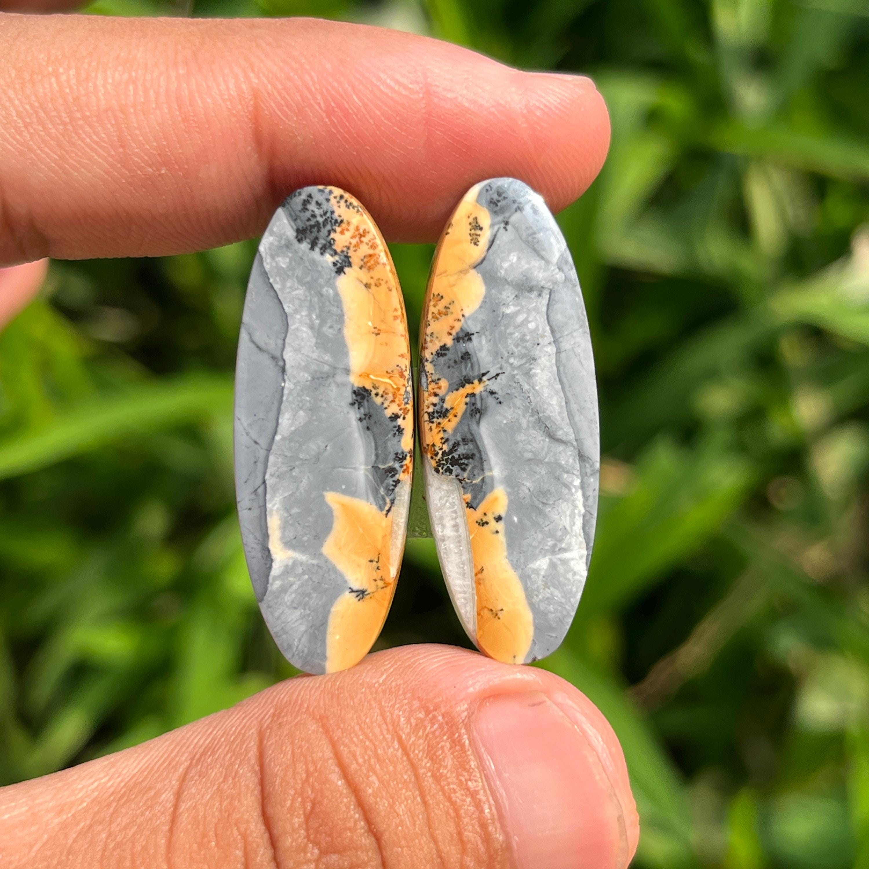 大ぶり珍しいグリーン系 マリガノジャスパーピアスチャーム·͜· ︎︎ Maligano jasper - Etsy 日本