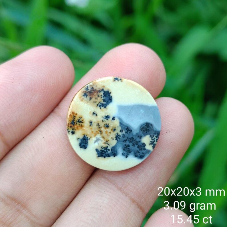 May include: A round, polished gemstone with a cream-colored base, featuring intricate patterns of brown, black, and gray. The stone measures 20x20x3 mm, weighs 3.09 grams, and is 15.45 carats.