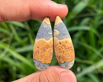 Maligano Jasper Pair – Matching Cabochons for Jewelry Making, Artisan Grade Gemstone