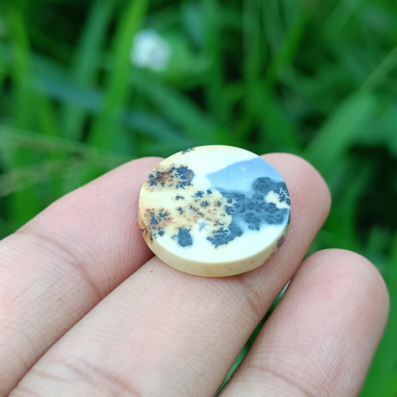 May include: A round, polished gemstone with a cream-colored base and intricate patterns. The patterns include areas of light blue, brown, and black, resembling a landscape. The gemstone is held in a hand against a blurred green background.
