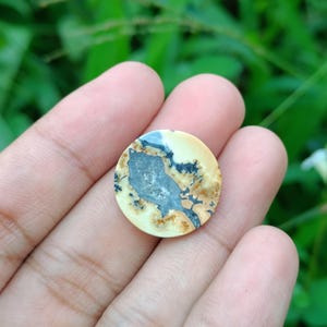 May include: A round, polished gemstone with a unique pattern. The stone features a central gray area surrounded by beige and brown hues, with black vein-like markings. The gemstone is held in a hand against a blurred green background.