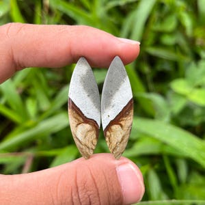 May include: A pair of oval gemstones with a distinctive pattern. The top section is white, leading to a brown band, and then a beige base. The gemstones are displayed against a background of green leaves.