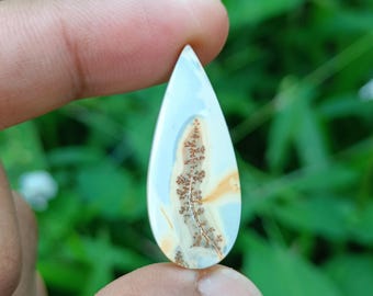 Teardrop Maligano Jasper Cabochon