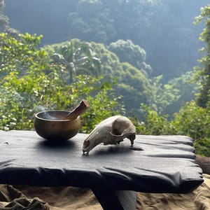 May include: A black wooden platform with a textured, carved edge, featuring a small brass bowl containing a smoking piece of palo santo wood and an animal skull resting on its surface. The platform is supported by a central wooden base.